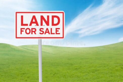 Land For Sale In Pinnock Beach Estate